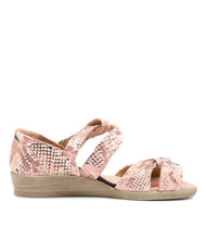 Load image into Gallery viewer, Ziera - Doxie W Toasted Reptile Leather