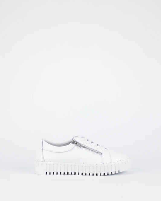 Bay Lane - New Medusa White