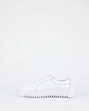 Load image into Gallery viewer, Bay Lane - New Medusa White
