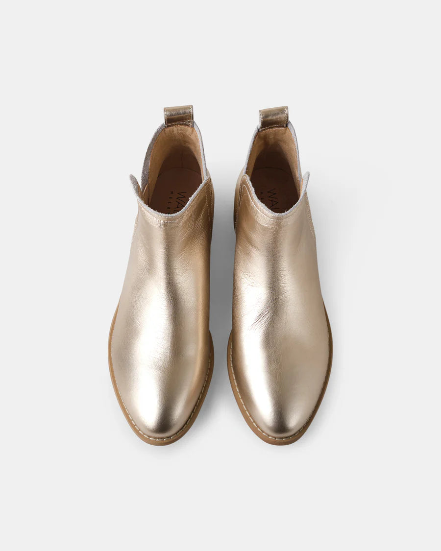 WALNUT - Douglas Copper