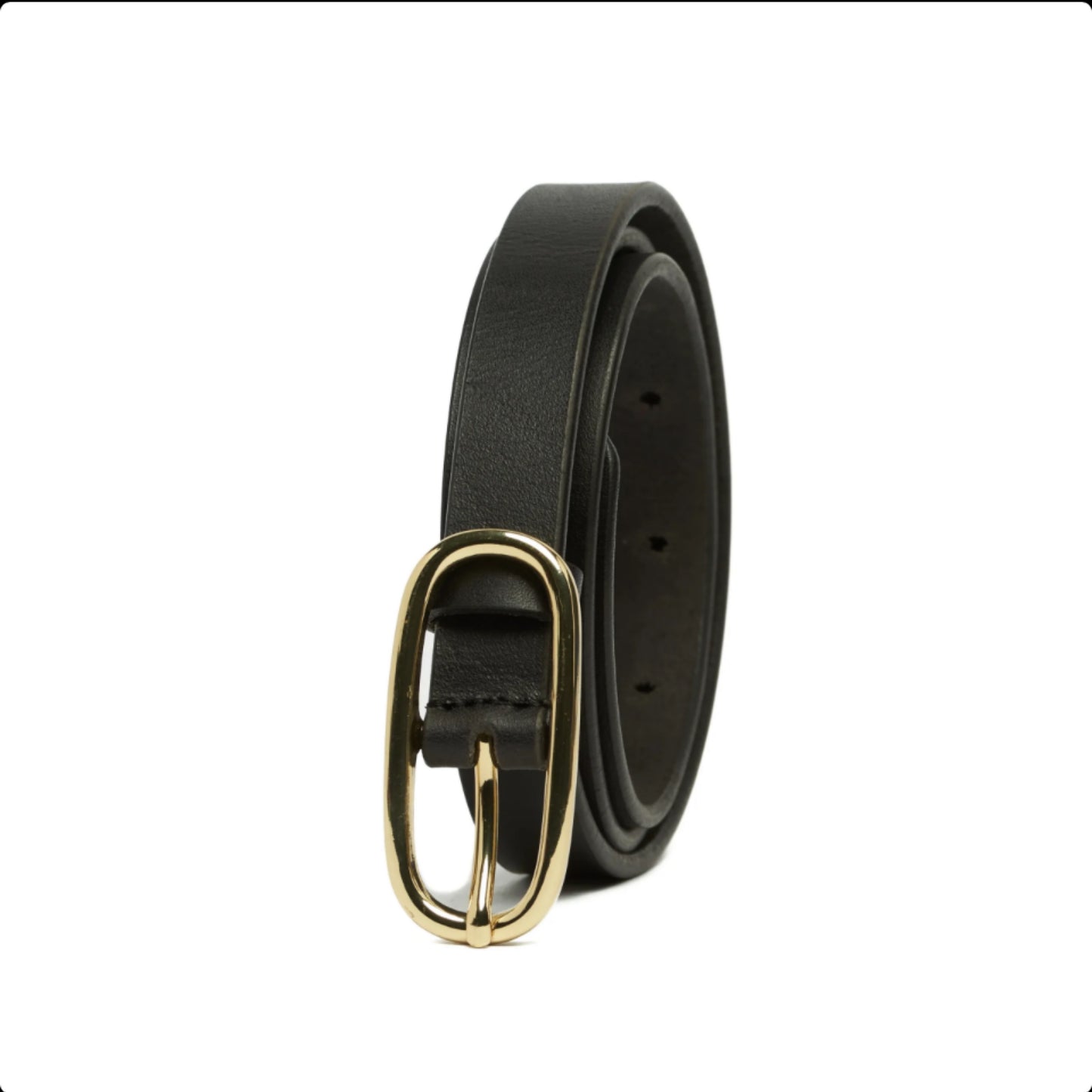 Rugged Hide - Ladies Belt