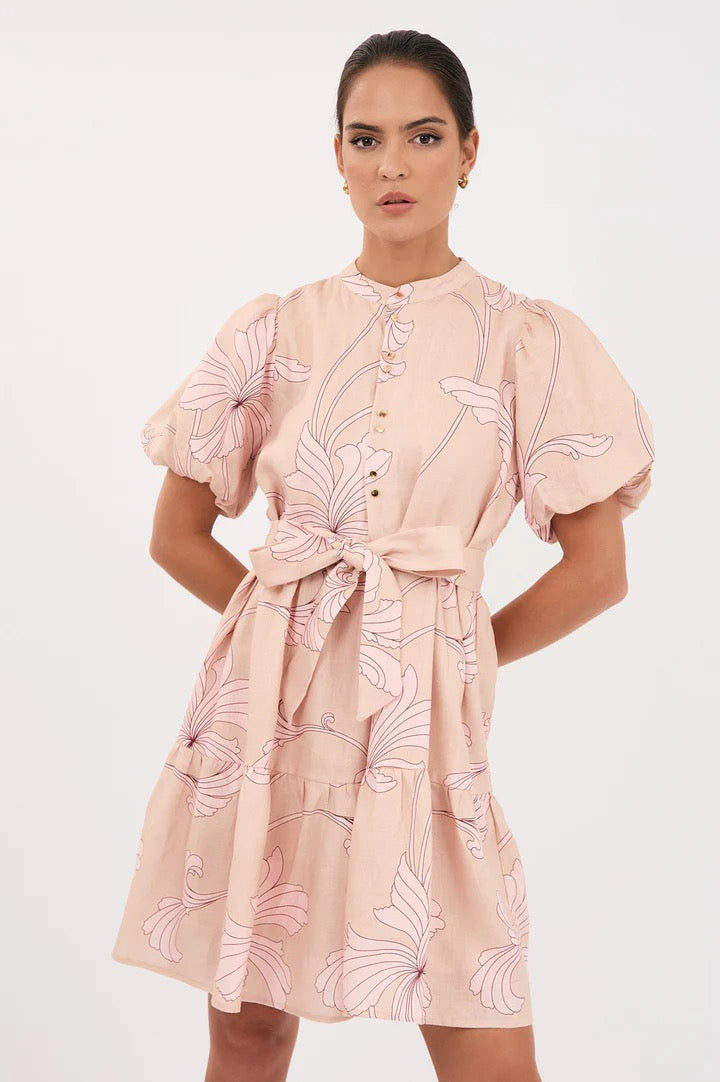 adorne - MARA CELESTE SALVADOR PRINT DRESS