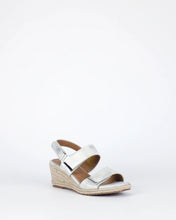 Load image into Gallery viewer, Soultbush - TEACH Silver Shimmer
