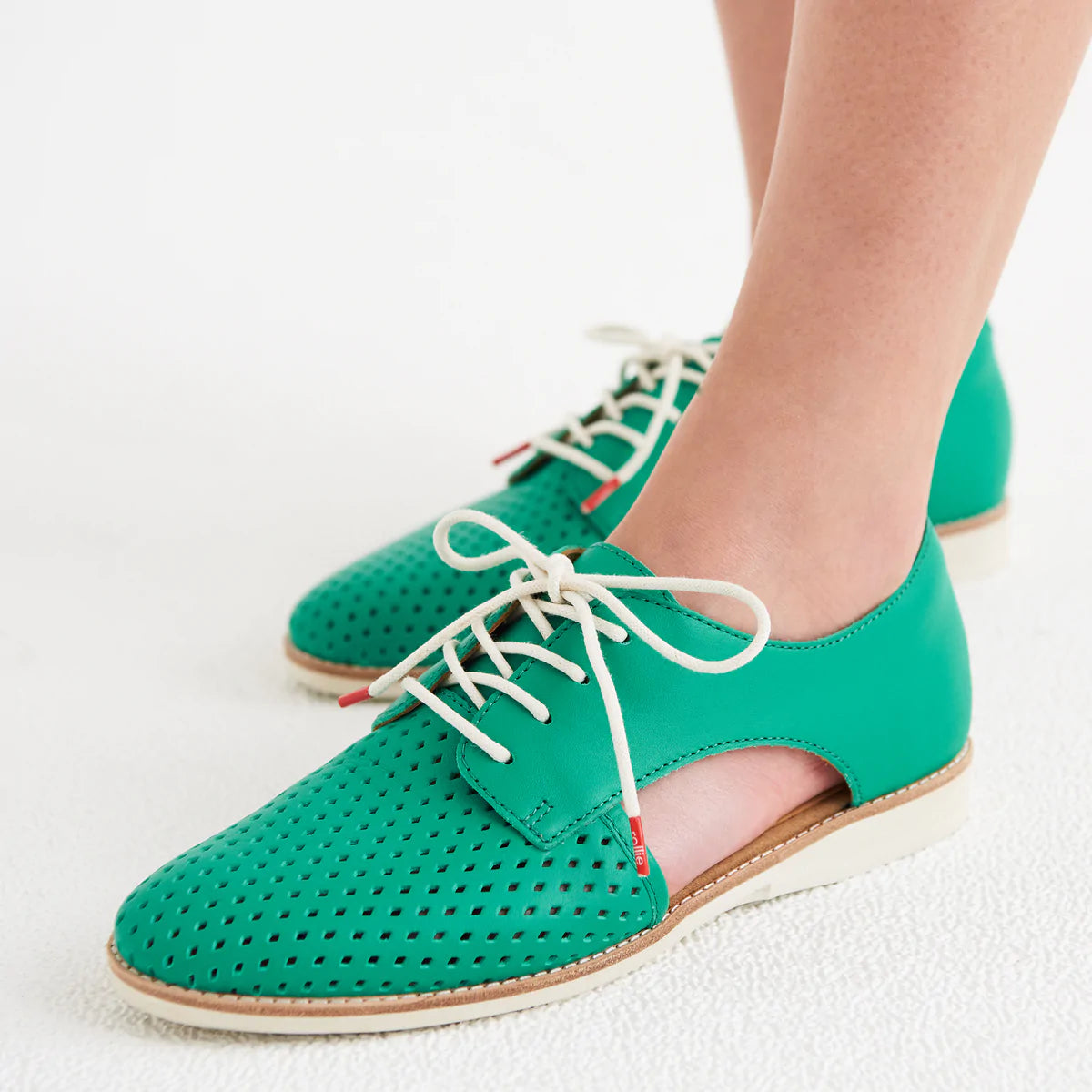 Rollie - Sidecut Punch Shamrock