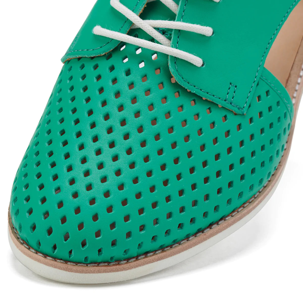 Rollie - Sidecut Punch Shamrock